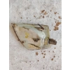 KIERUNKOWSKAZ PRZEDNI STRONA LEWA VOLKSWAGEN PASSAT B5 01-441-1623L-C
