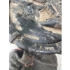 POMPA PALIWA VOLKSWAGEN POLO III 6N 6N2 6NF 6N0919051J
