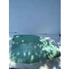 SZYBA DRZWI PRZEDNICH PRZÓD STRONA PRAWA RENAULT CLIO II 43R00097