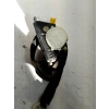 PAS BEZPIECZEŃSTWA PRZÓD STRONA LEWA VOLKSWAGEN PASSAT B6 33042932F