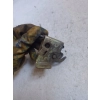 ZAMEK KLAPY BAGAŻNIKA TYŁ PEUGEOT 406 3987298 GENUINE
