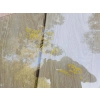 TOYOTA YARIS 1 I 3D SZYBA BOCZNA LEWA PRZEDNIA LEWY PRZÓD