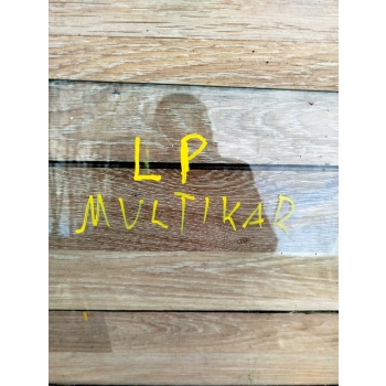 SZYBA BOCZNA DRZWI LEWY TYŁ MULTICAR
